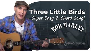 First Guitar Song 3 Little Birds Super Easy Chords  Bob Marley [upl. by Pass]