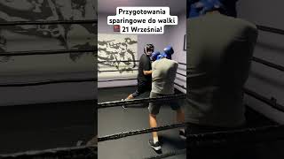 Białe Kołnierzyki boks walka sparing trening [upl. by Doro800]