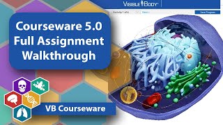 Courseware 50 Full Assignment Walkthrough [upl. by Tibold33]