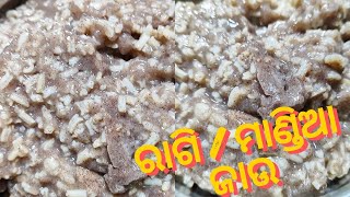 à¬¬à¬¿à¬¨à¬¾ à¬¤à­‹à¬°à¬¾à¬£à¬¿à¬°à­‡ à¬¬à¬¨à¬¾à¬¨à­à¬¤à­ à¬®à¬¾à¬£à­à¬¡à¬¿à¬† à¬œà¬¾à¬‰ ll Mandia jau recipe ll Ragi porridge recipe ll [upl. by Fidelas214]