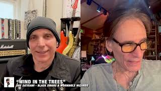 Joe Satriani and Steve Vai Discuss Favorite Song Of Each Others [upl. by Odiug]