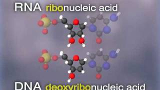 The DNA Obsession 15  Cracking The Code episode 3 [upl. by Sherl975]