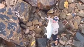 This Fish is Giving me a Hard Time  Nightcliff Jetty  Darwin Fishing [upl. by Harve]