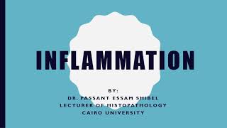 INFLAMMATION 3 [upl. by Fattal382]