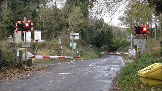 Gomshall Level Crossing [upl. by Perri]