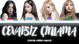 BLACKPINK  Cevapsız Çınlama AI Cover [upl. by Goddord750]