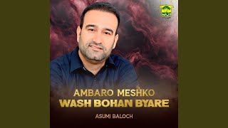 Ambaro Meshko Wash Bohan Byare [upl. by Yorle]