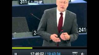 Europaparlament Plenum TTIP 20140715 [upl. by Dyraj652]