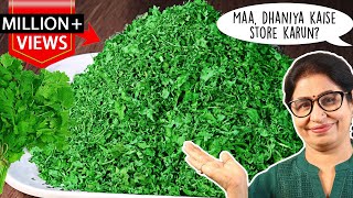 बिना फ्रिज़ के एक साल तक स्टोर करें हरा धनिया पत्ती। How to store Coriander leaves for months [upl. by Dhu]