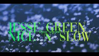 Jesse Green  Nice N Slow Lyrics [upl. by Julina]