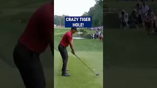 Tiger Woods INCREDIBLE recovery😱 [upl. by Padraig]