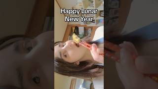 Happy Lunar New Year Seollal설날 in Korea I celebrate the new year by eating Dongtaejeon [upl. by Yzzik]