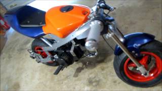 REED MODED pocket bike FIRST START UP [upl. by Stevy919]