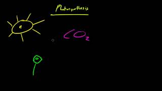 Biology Lecture  30  Autotrophs vs Heterotrophs [upl. by Trilbee427]