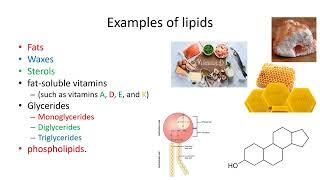 Lipids Definition and Its Functions  Lecture 7a [upl. by Hey219]