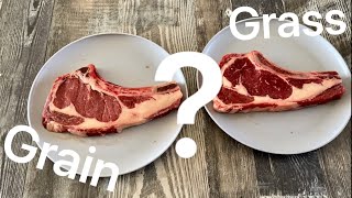 Grass Fed VS Grain Fed BeefWhats The Difference [upl. by Anilek]