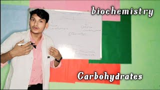 1CarbohydratesDefinition Classification Functions bscnursing 2nd semester Nursingcareerwill [upl. by Eidod]