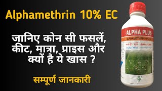 Alphamethrin 10 EC Insecticide  धान की फसल में पत्ता लपेटतना छेदकऔर सभी प्रकार के कीटों के लिए [upl. by Beverly]