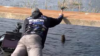 St Johns River Lee Livesays unbelievable big bass catch [upl. by Eerahs]