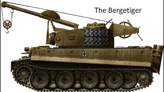 Bergetiger  Rare Tanks S1 E5 [upl. by Wyly281]