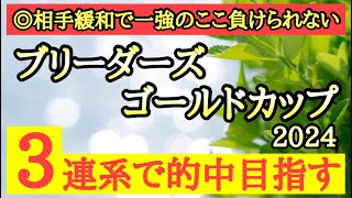 【ブリーダーズゴールドカップ2024】◎今回のメンバーなら格上のあの馬信頼して勝負だ！ [upl. by Yrevi]