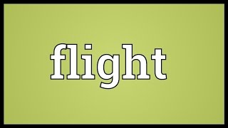 Flight Meaning [upl. by Turmel]