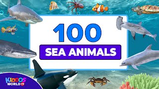 100 Sea Animals Collection  Learning Aquatic Animals Names and Videos [upl. by Chet]