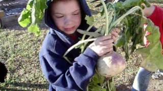 Harvesting Turnips  Country Kids Garden Vlog [upl. by Ced]