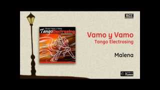 Tango Electrosing  Malena [upl. by Okoyk]