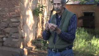 Intro to Dendrochronology  Thomas C Windes [upl. by Aneleiram]