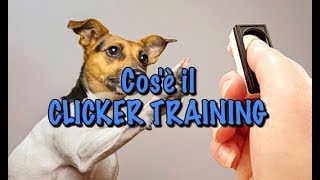 Il metodo del clicker training [upl. by Aliak]