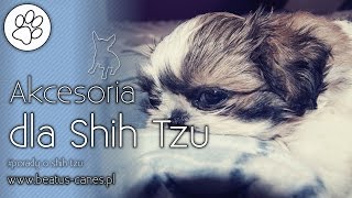 Akcesoria dla shih tzu [upl. by Latsyrhc]