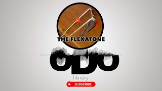 Having fun with a Flexatone Free Sound Effect by oDo Lib [upl. by Ahsieker638]