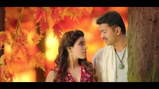 Chella kutti song whatsapp status  theri movie song  vijay  samantha  tamilwood [upl. by Moselle484]