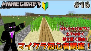 【マインクラフト】初心者、必見！簡単サトウキビの作り方！【マイクラ統合版】 [upl. by Ahsam]