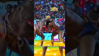 balla gaye 2 vs modou lo 2019 🇸🇳 shorts abonnés vous [upl. by Namhcan757]