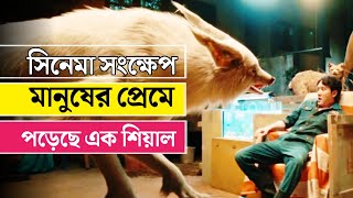 Hanson And The Beast Full Movie Explained In Bangla CineMaya Random Video channel [upl. by Nyrahs155]