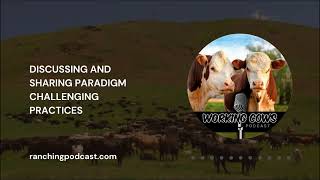 Ep 394 – Kent Donica – Learning Market Lessons  Working Cows [upl. by Lansing68]