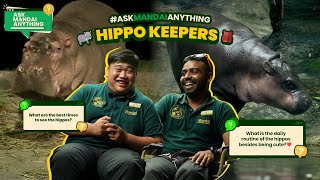 AskMandaiAnything  quotWe pick up about 150 kg to 200 kg of hippo poop a day quot [upl. by Brendan]