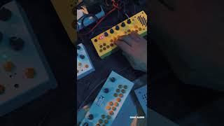 testing critter amp guitari organelle m pocket piano kaleidoloop bolsa bass [upl. by Zusman]