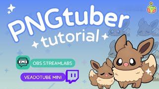 ✦ easy PNGtuber setup tutorial 🌟 OBS Streamlabs  Veadotube mini ✦ [upl. by Sonja811]