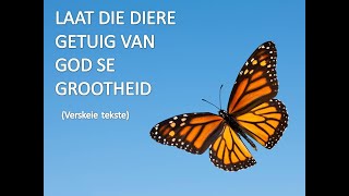 Laat die Diere getuig van God se Grootheid [upl. by Drofiar]