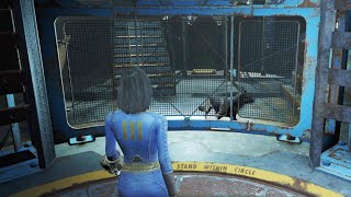 Fallout 4 Get Dogmeat inside Vault 111 for Cryolator ⭐ Legendary Weapon fypシ fyp ps5 ps4 gaming [upl. by Shelba]