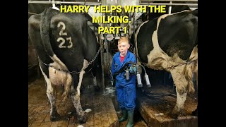 HARRY HELPS WITH THE MILKING PART 1 [upl. by Nuawaj694]