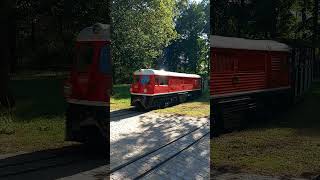 EA01 am einfahren beim Hauptbahnhof an der Gläsernen Manufaktur bei der Dresdner Parkeisenbahn [upl. by Radek718]