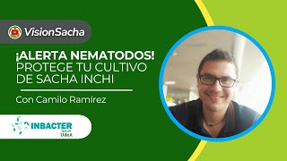 Aliados para el control de Nematodos en Sacha Inchi con Camilo Ramírez de Inbacter 🌱 [upl. by Ocirled]