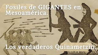 Los verdaderos FOSILES de Gigántes en Mesoamérica [upl. by Delfeena904]