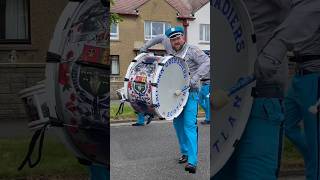 Whitburn Grenadiers flute band at Grangemouth Boyne Celebrations [upl. by Aislehc]