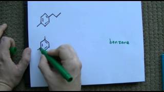 Ortho Meta Para Naming on Benzene [upl. by Radack]