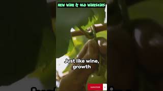 New Wine in Old Wineskin  Jesus Parable [upl. by Ahsitram]